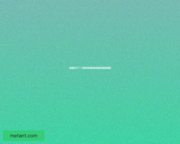 实况足球2011中文解说补丁安装教程与游戏体验优化指南